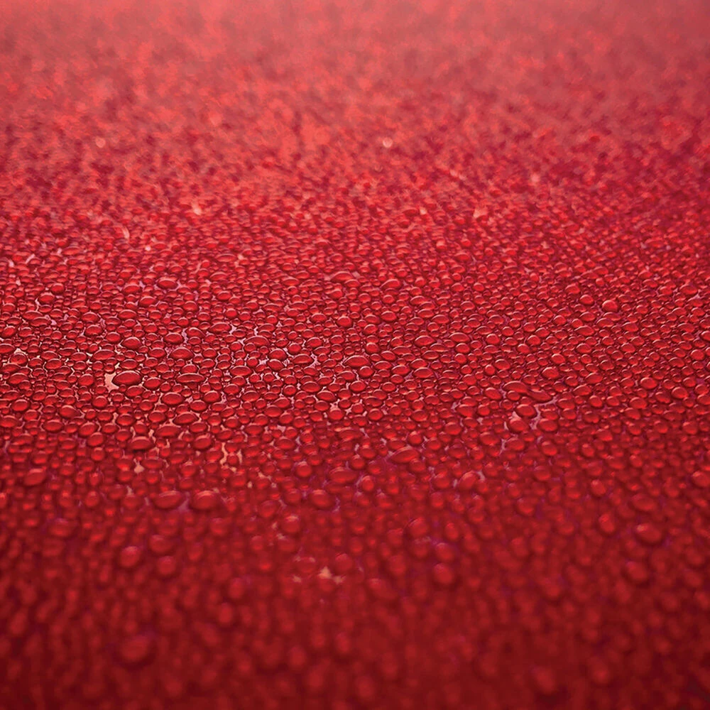 Cheap 🎁 Turtle Wax Hard Shell Liquid Wax 473mL 👍 5 Cheap 🎁 Turtle Wax Hard Shell Liquid Wax 473mL 👍 - Image 5